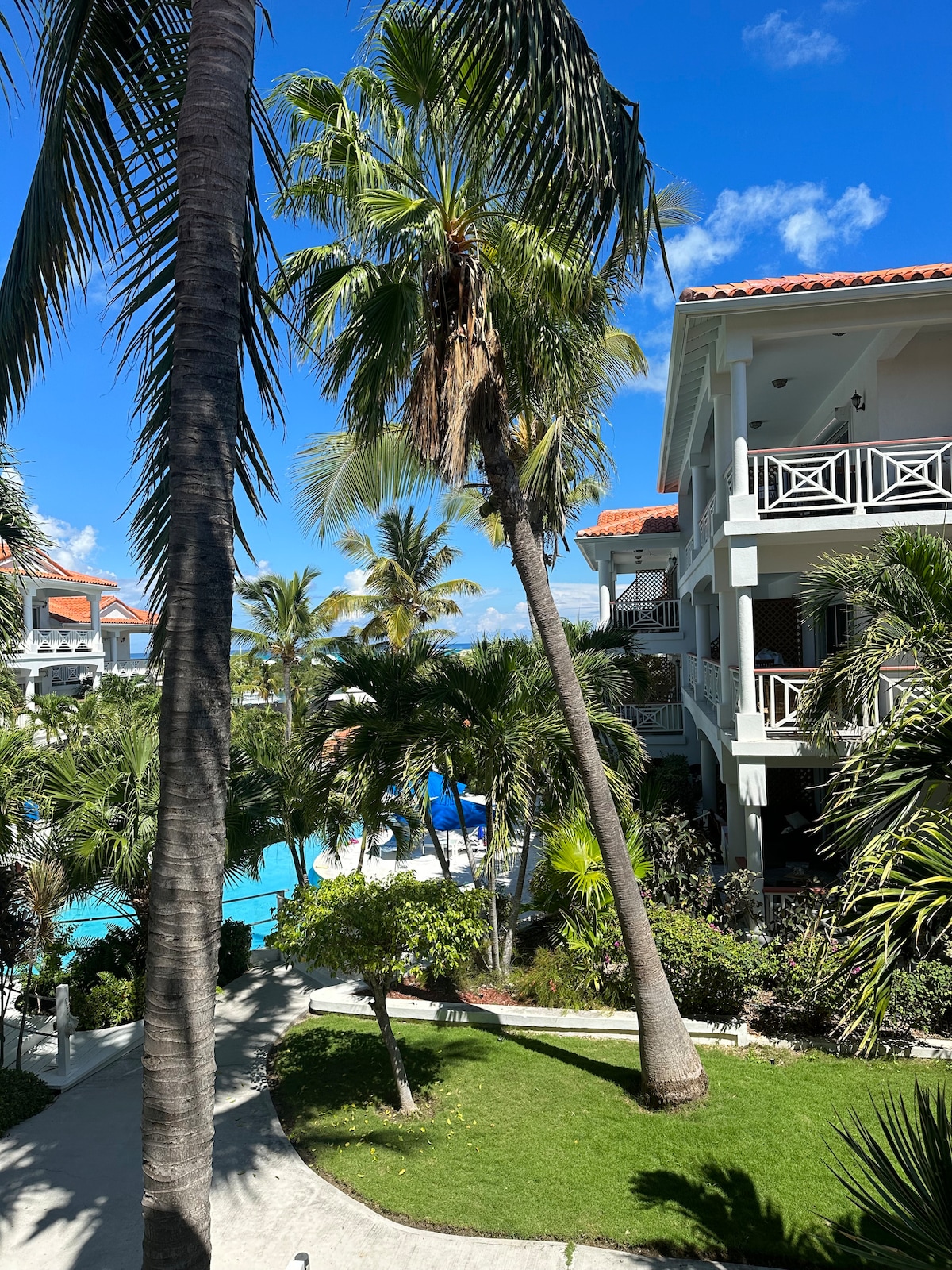 Palm trees tower over a lush garden area, framing a glimmering pool visible in the background. The condo building features a classic architectural style, with ample balconies overlooking the vibrant greenery and pool, creating a tranquil outdoor atmosphere.