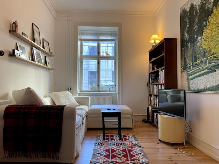 Cosy Copenhagen Flat - Copenhagen