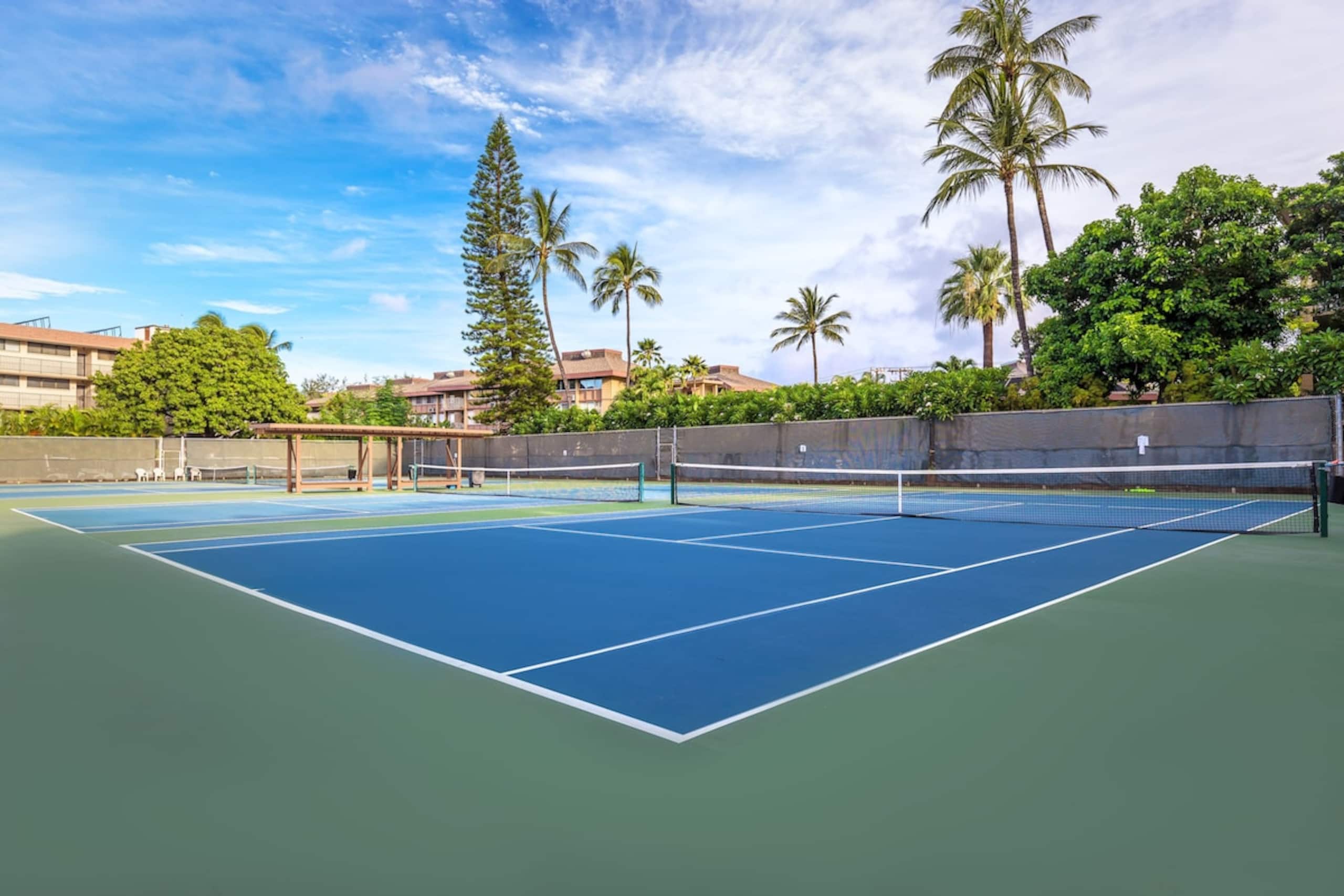 Fab Kihei Condo across frombeach - Image 16
