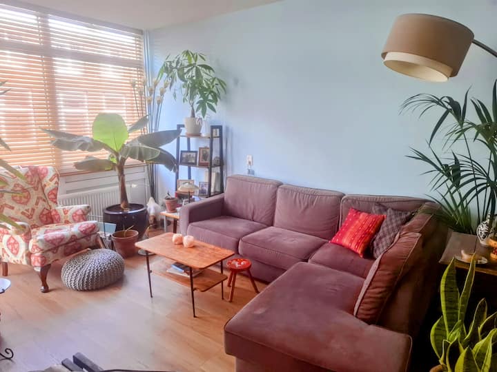 Gerenoveerd Appt 50m2 (Dec/jan) - Delft