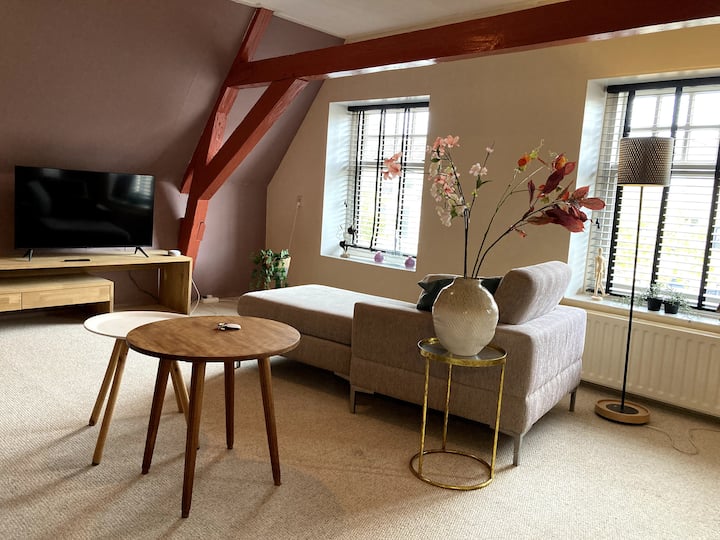 Ruim En Elegant Appartement In Pakhuis Bij Centrum - Leeuwarden