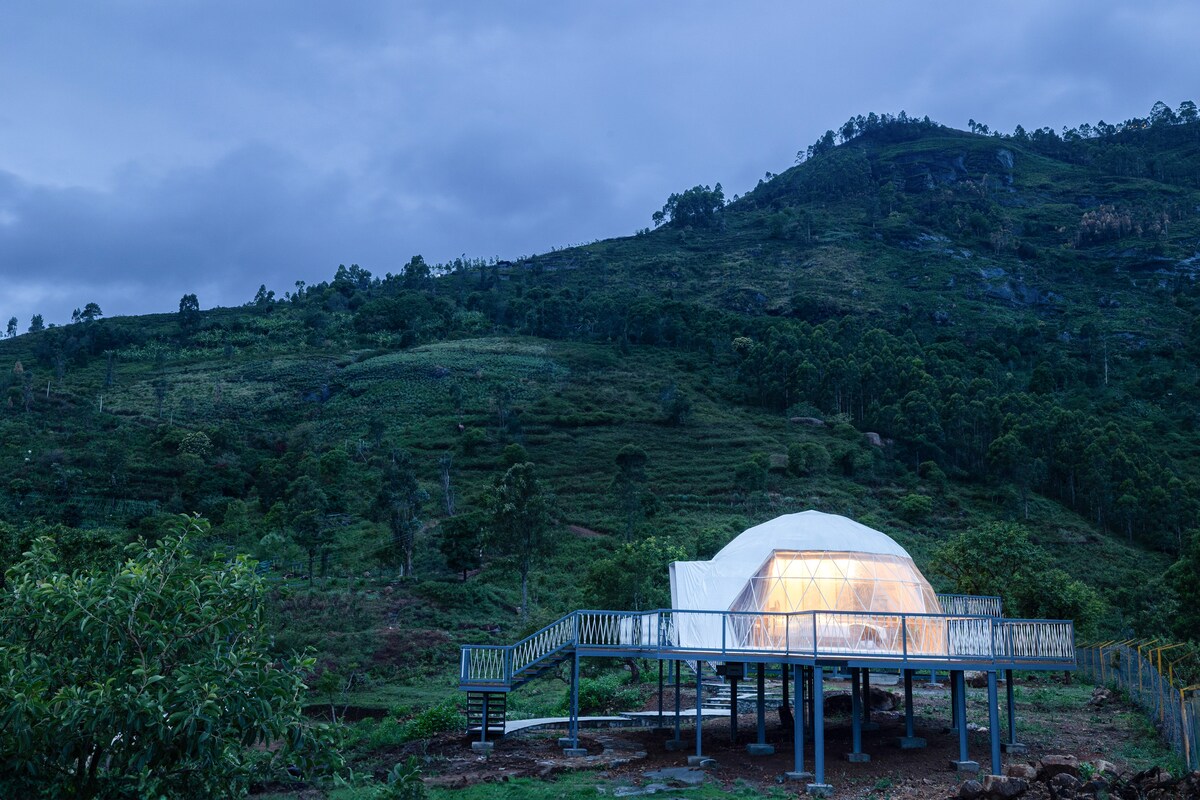 A modern structure is situated on stilts, surrounded by lush greenery and rolling hills. Soft light emanates from within, illuminating the transparent dome against the twilight sky. The setting offers a unique blend of nature and contemporary design.