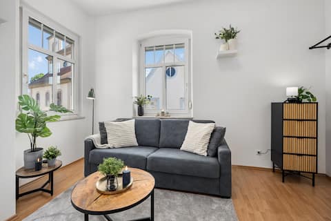 Luxury Apartment in city center