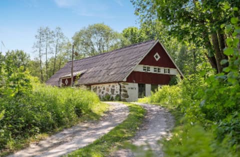 Lakeside 19th-century house in a forest environment