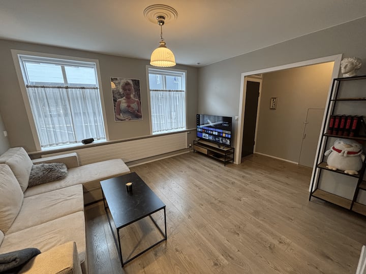Downtown Apartment - Reykjavik