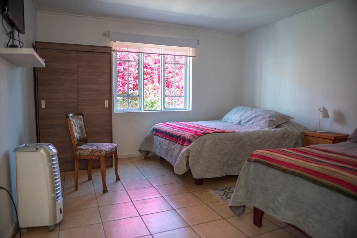A spacious room features two large beds covered with soft grey blankets, complemented by colorful striped throws. A chair is positioned nearby, and natural light filters through the window, which provides a view of vibrant flowers outside. A small nightstand and a radiator are also visible.