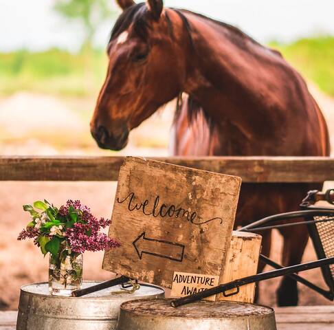 Traditional Farmhouse Experience gallery image 3