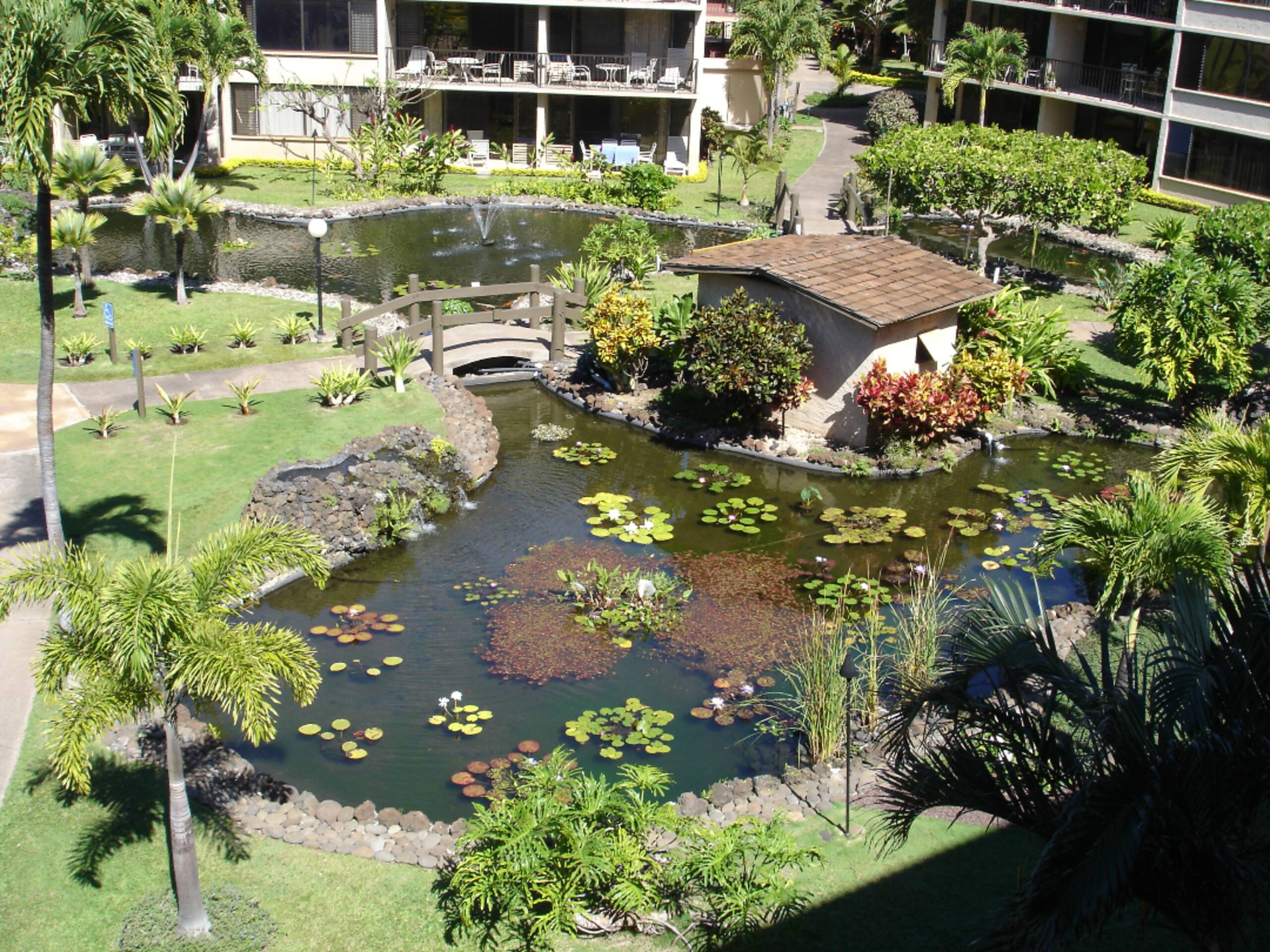 Condo in Lahaina · ★4.86 · 1 bedroom · 1 bed · 1 bath - Image 26