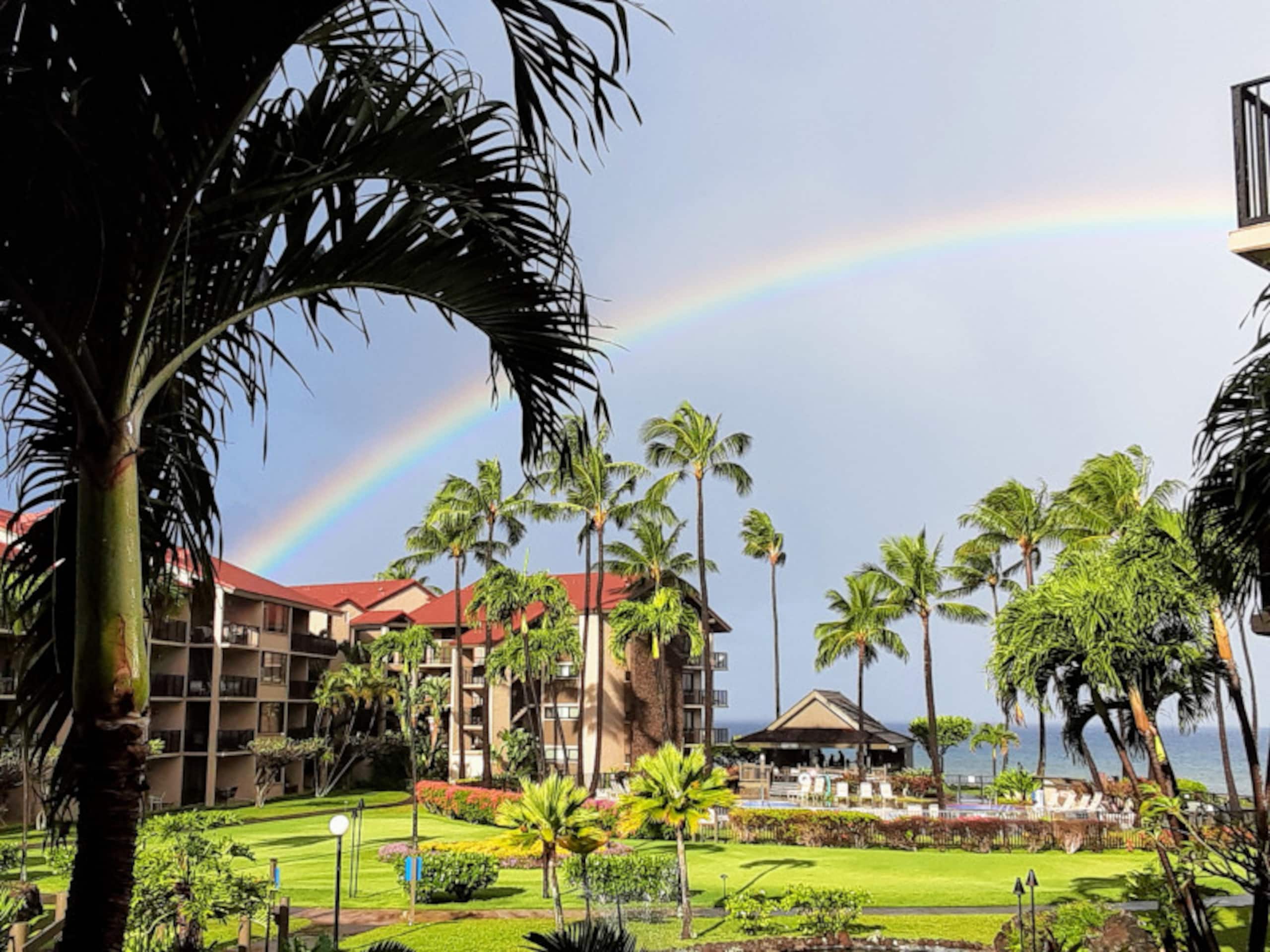 Condo in Lahaina · ★4.86 · 1 bedroom · 1 bed · 1 bath - Image 24