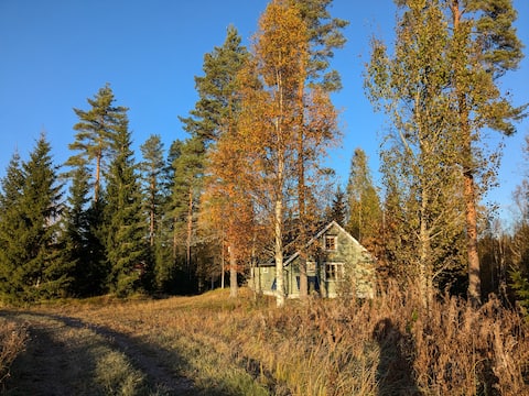 Idyllic in the peace of nature