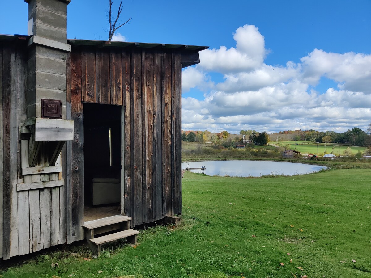 A rustic wooden cabin with a weathered exterior stands beside a serene pond. Steps lead to the entrance, framed by a grassy expanse. Soft clouds drift in a blue sky, complementing the lush landscape that surrounds the cabin and pond.