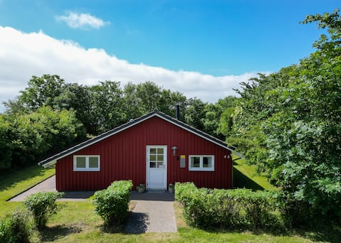 Large cozy cottage close to attractive Agger