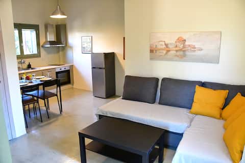 Top performing Airbnb: "Olive tree house" in Περιφερειακή Ενότητα Νήσων