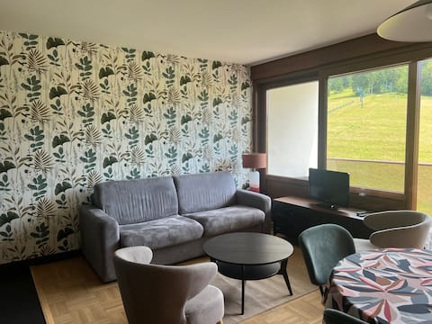 Airbnb performant: Apartment Le 320 à Prémanon