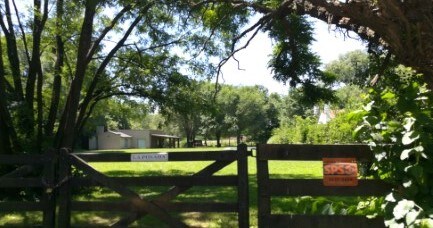 A wooden gate opens to a lush, green yard surrounded by trees. In the background, a simple, one-story building can be seen, blending into the natural landscape. The area is bright and sunny, with a clear blue sky visible above the foliage.
