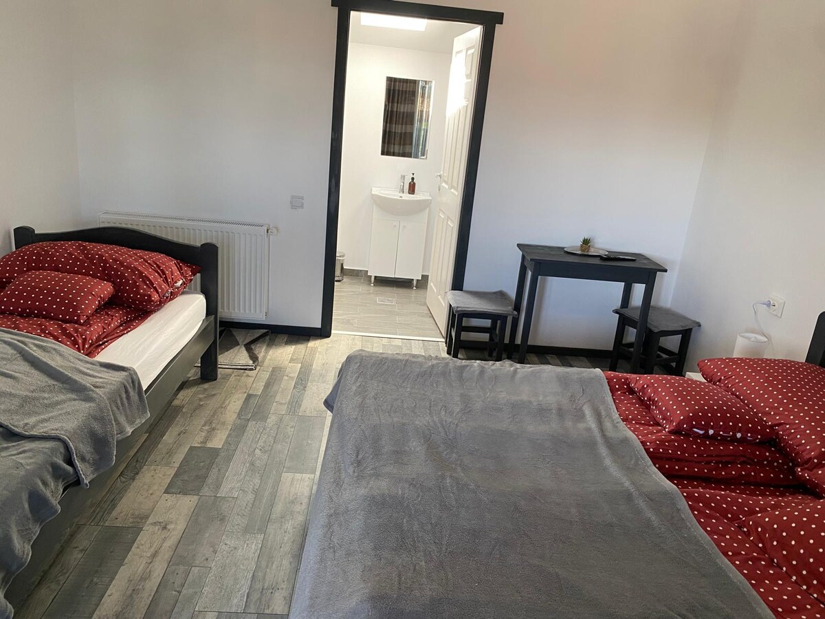 The room features two beds with red polka dot bedding and a cozy gray throw. A small table occupies one corner, with a washbasin visible in the bathroom area. Natural light enters through a nearby door, creating a bright and open feel.