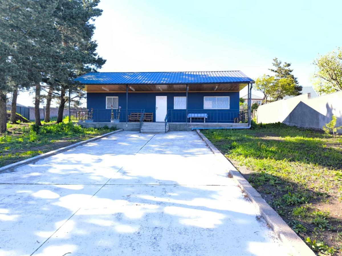 A single-story cottage with a blue exterior is seen under a clear sky. The covered porch extends across the front, offering shade. A wide driveway leads up to the entrance. Surrounding greenery adds a natural touch to the setting.