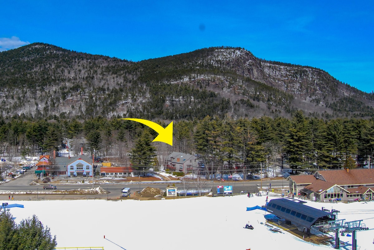 A distant view captures a snow-covered landscape featuring a cluster of buildings situated along a road, bordered by a line of tall trees. The backdrop showcases a series of green mountains under a clear blue sky, creating a serene winter scene.