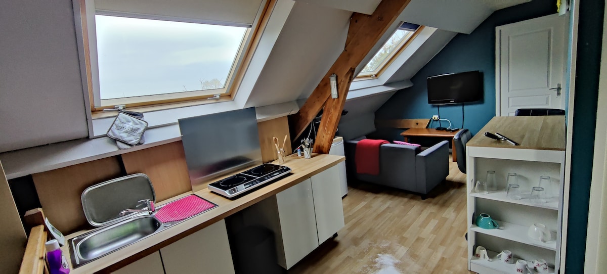 The image displays a well-equipped kitchenette with a two-burner induction cooktop and a sink. Natural light enters through two skylights, illuminating the space. A small seating area with a TV and a couch is arranged adjacent to the kitchen, enhancing the cozy atmosphere.