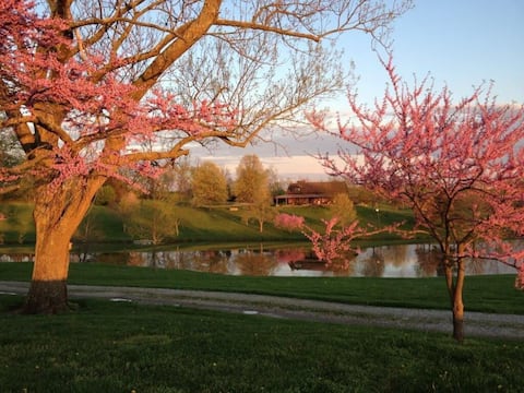 Beautiful KY Cabin, Farm, Bourbon Trail, Fire Pit
