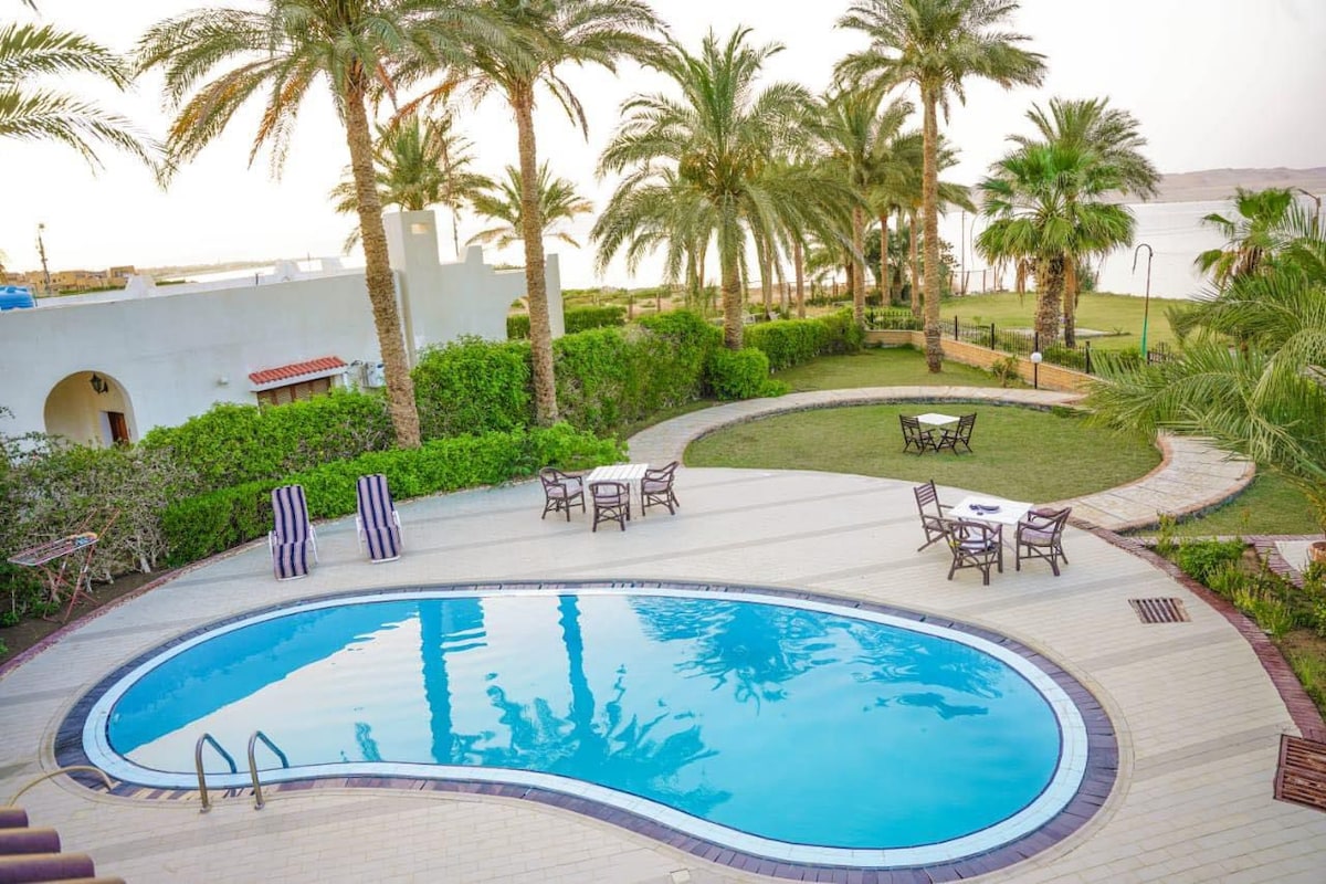 An outdoor area features a curvilinear swimming pool surrounded by palm trees and well-maintained greenery. Several lounge chairs are positioned nearby, with seating arrangements visible on a grassy space. The scene is set against a tranquil setting, providing a relaxing vibe.