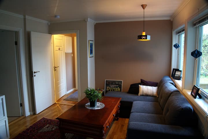 Sovesofa
