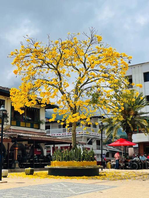 A vibrant yellow tree stands prominently in a plaza, with its blossoms scattered on the ground. Surrounding elements include a circular planter filled with green plants, and nearby seating areas shaded by red umbrellas. Buildings rise in the background, adding a lively community feel.