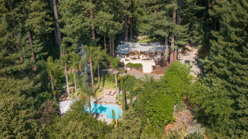 [New Special] Modern Redwood Retreat with pool