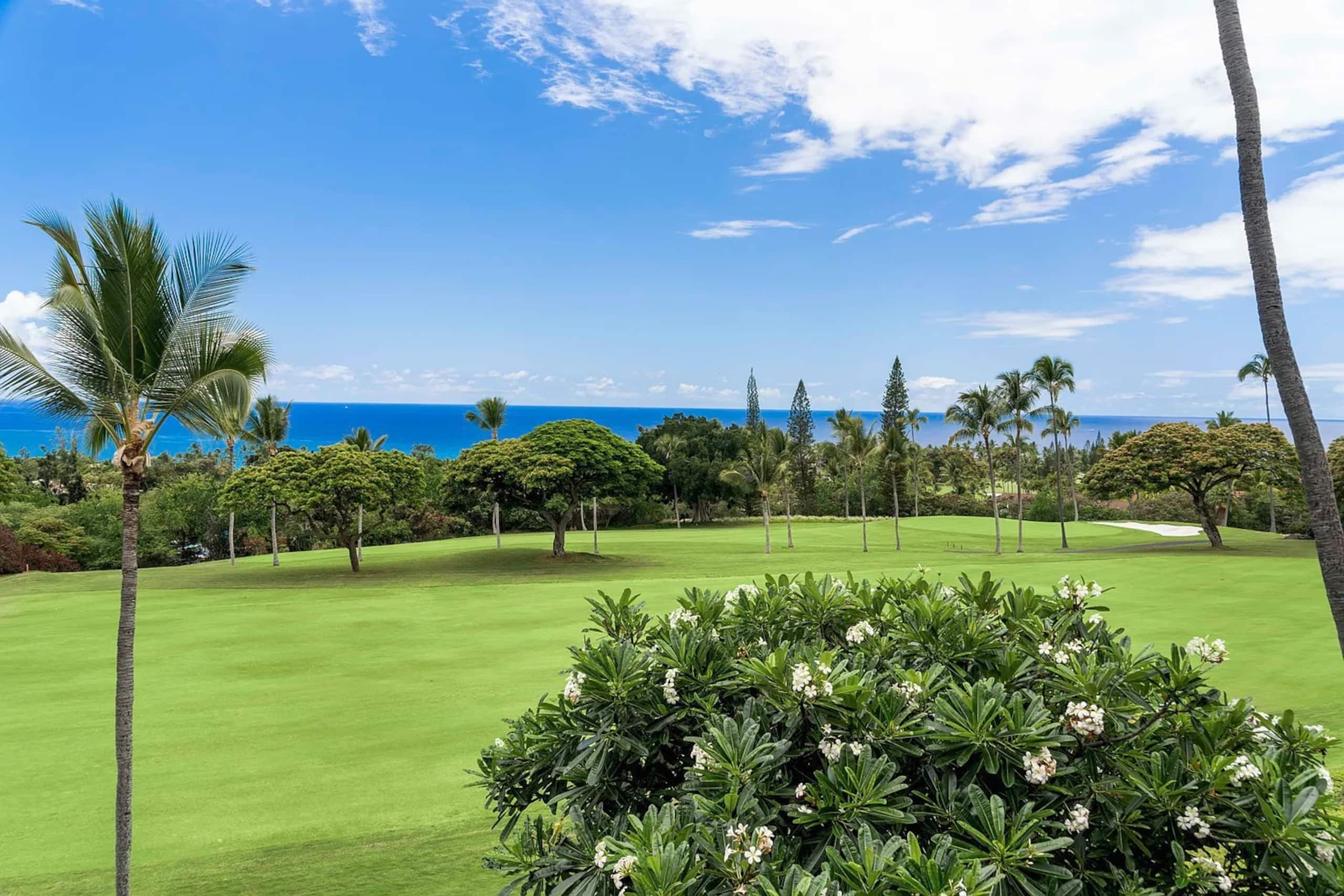 Ocean View Golf Couse Villa - Photo 26