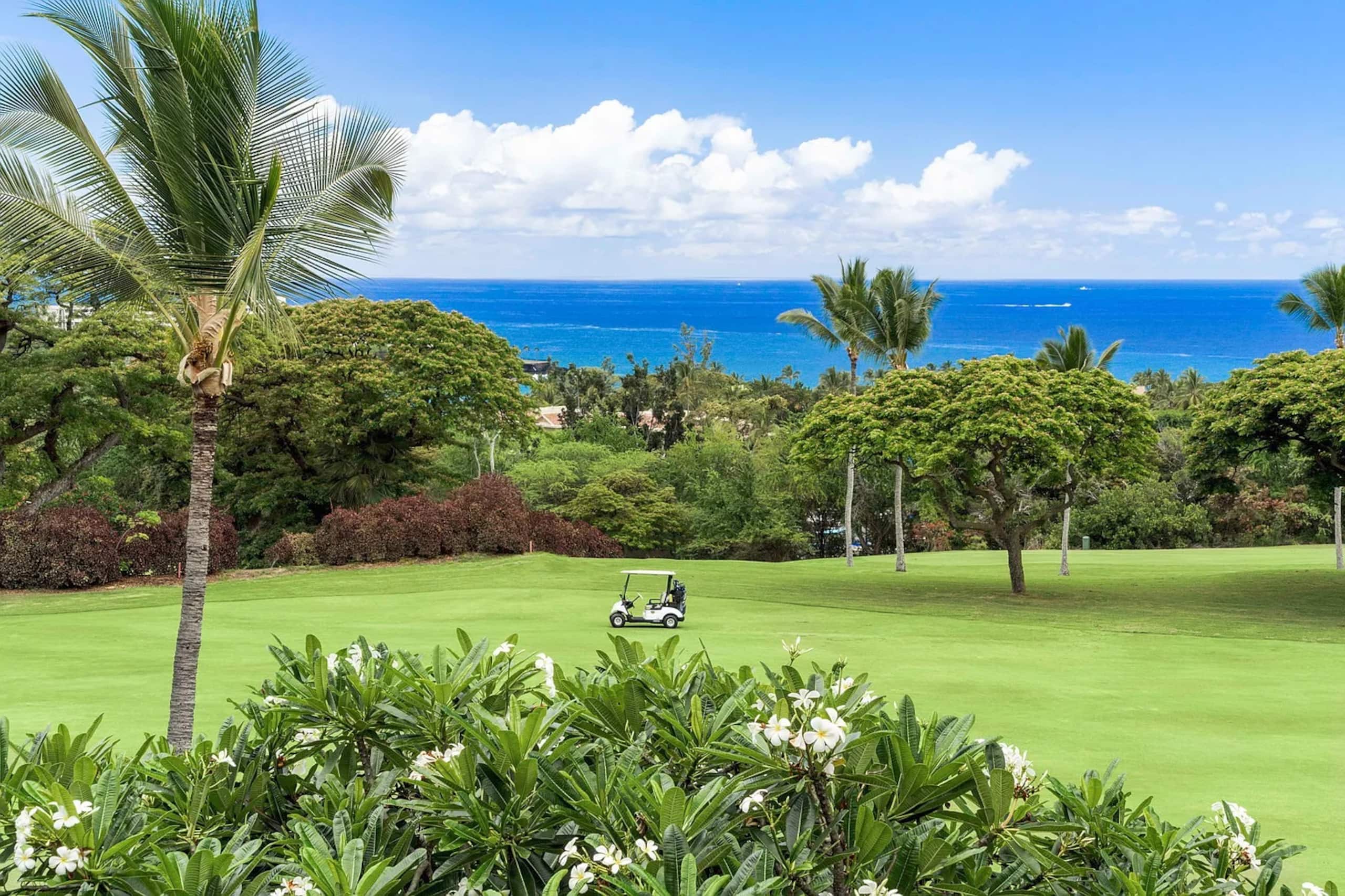 Ocean View Golf Couse Villa - Photo 29