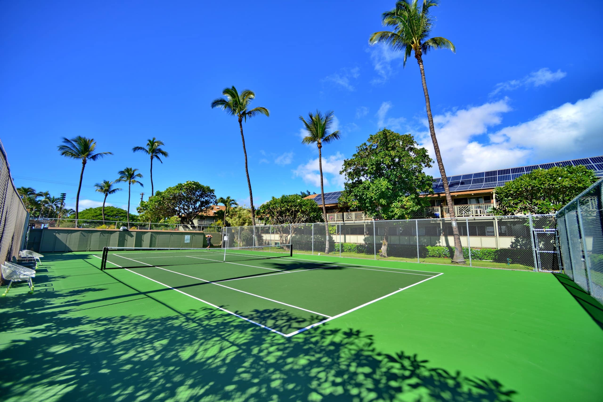 Condo in Kihei · ★4.95 · Studio · 1 bed · 1 bath - Image 22