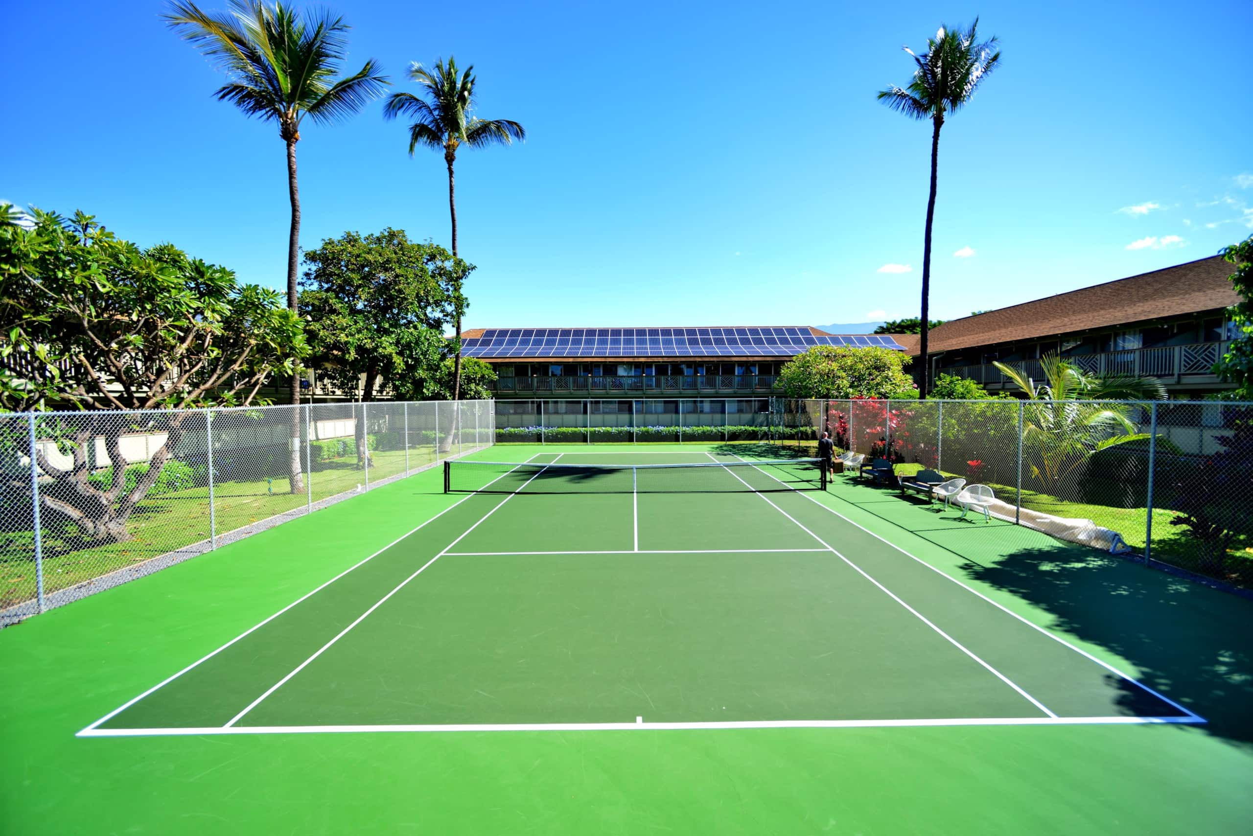 Condo in Kihei · ★4.95 · Studio · 1 bed · 1 bath - Image 21