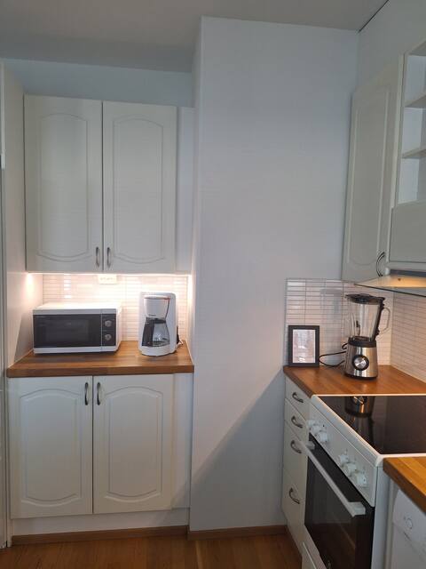 Top Airbnb: Large two-room apartment with sauna+ freepark in Kuopio