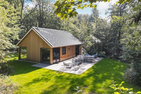 Forest house Bambi- Gaasterland