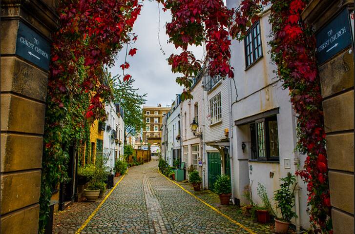 Full of light 5BR House near Kensington Olympia gallery image 5