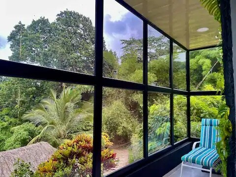 A sunlit sitting area is framed by large glass windows, offering a view of lush greenery and palm trees. A striped lounge chair is positioned indoors, complementing the vibrant colors of the surrounding flora, creating a serene environment.