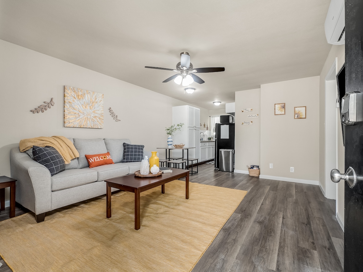 A spacious lounge area features a comfortable gray sofa, center table, and colorful decorative accents. Natural light fills the room, highlighting a well-equipped kitchen in the background. A warm area rug complements the modern design, while a ceiling fan provides ventilation.