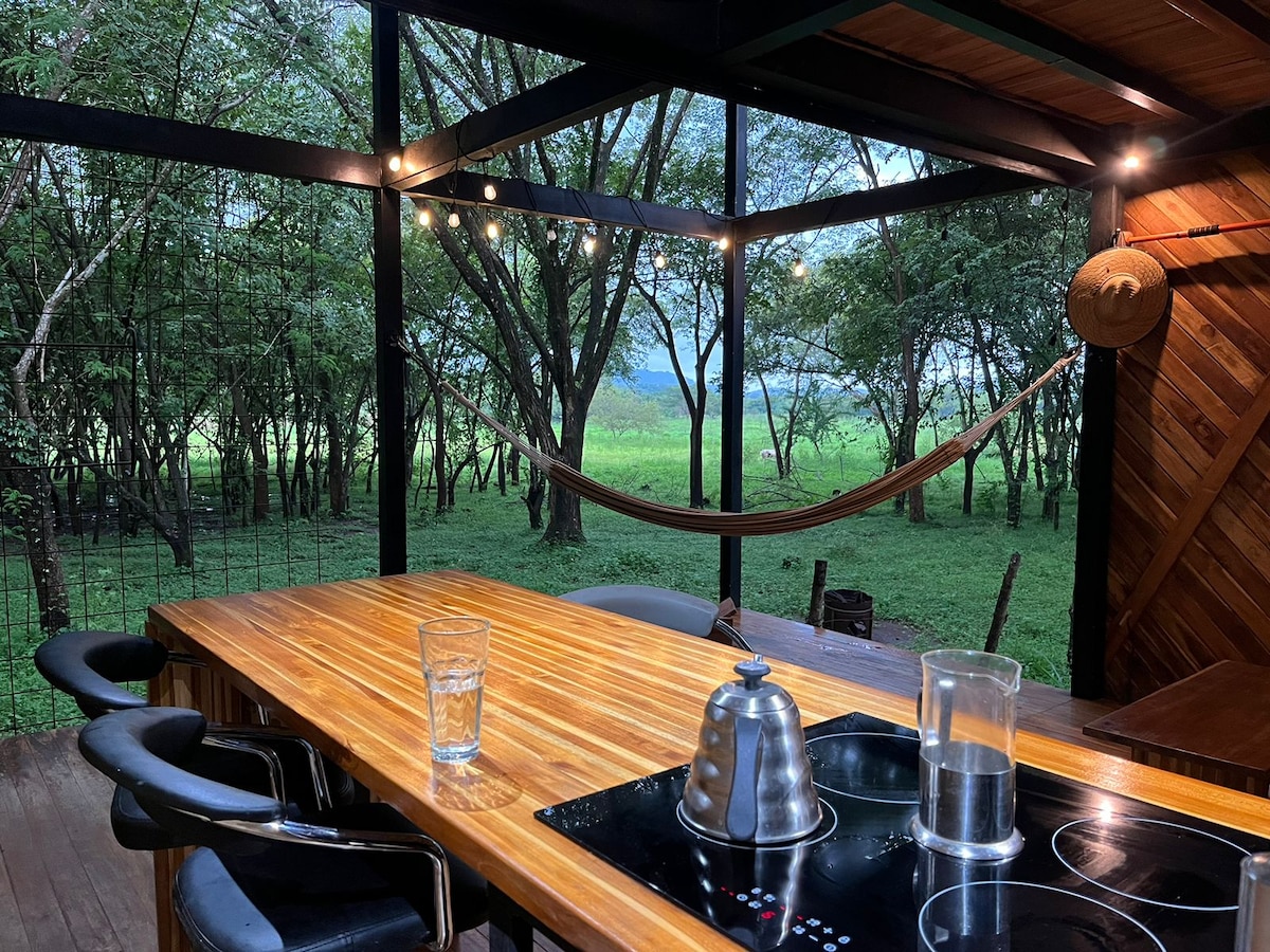 A dining area features a large wooden table surrounded by modern chairs, creating a spacious environment. A glass water pitcher and kettle are positioned atop the stove. Large windows open to a view of a lush green landscape with trees, enhancing the natural surroundings.