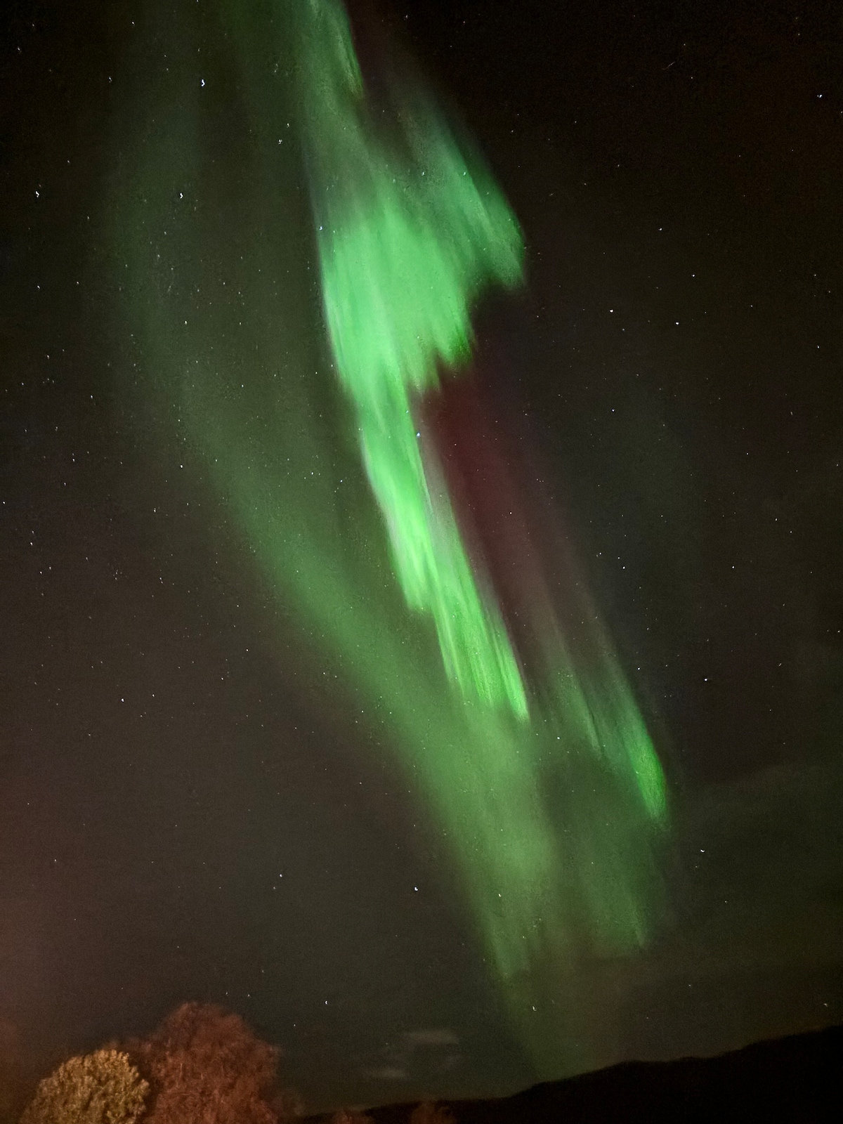 The night sky is filled with vibrant green and hints of purple auroras, cascading in flowing patterns. Numerous stars twinkle in the black expanse above, while silhouettes of trees are visible at the base, creating a striking contrast against the luminous display.