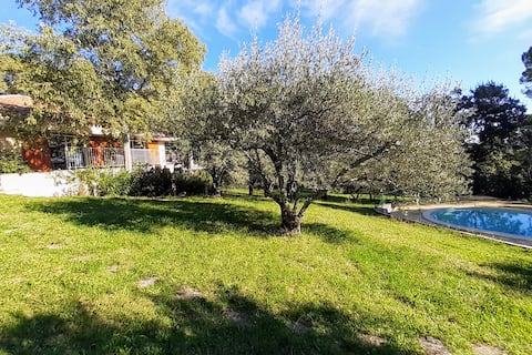 The Villa of the Olive Trees