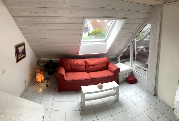 Helles Galeriezimmer Mit Schwarzwaldblick - Freiburg im Breisgau