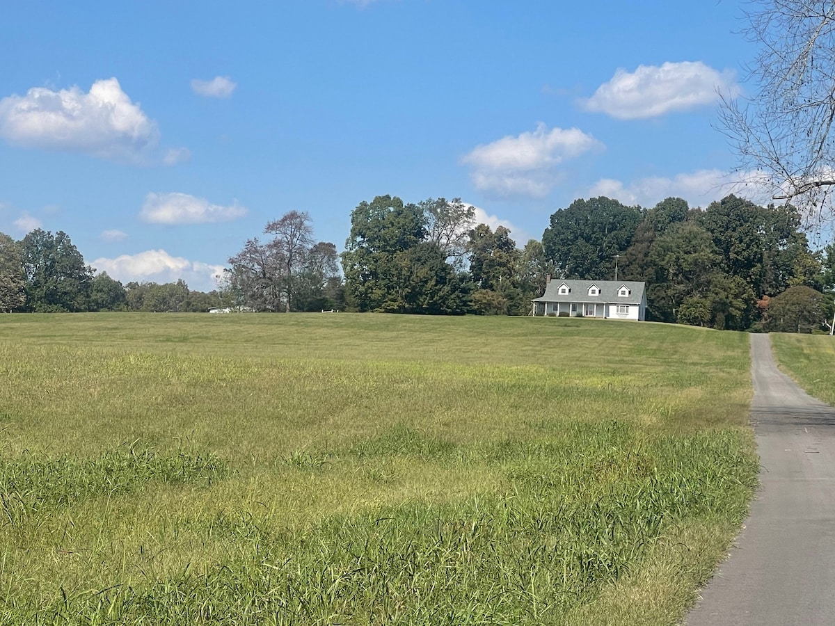 A vast green field stretches across the foreground, bordered by trees in varying shades of green. A winding gravel path leads to a two-story house with a light-colored façade and a gabled roof, situated under a blue sky with scattered clouds.