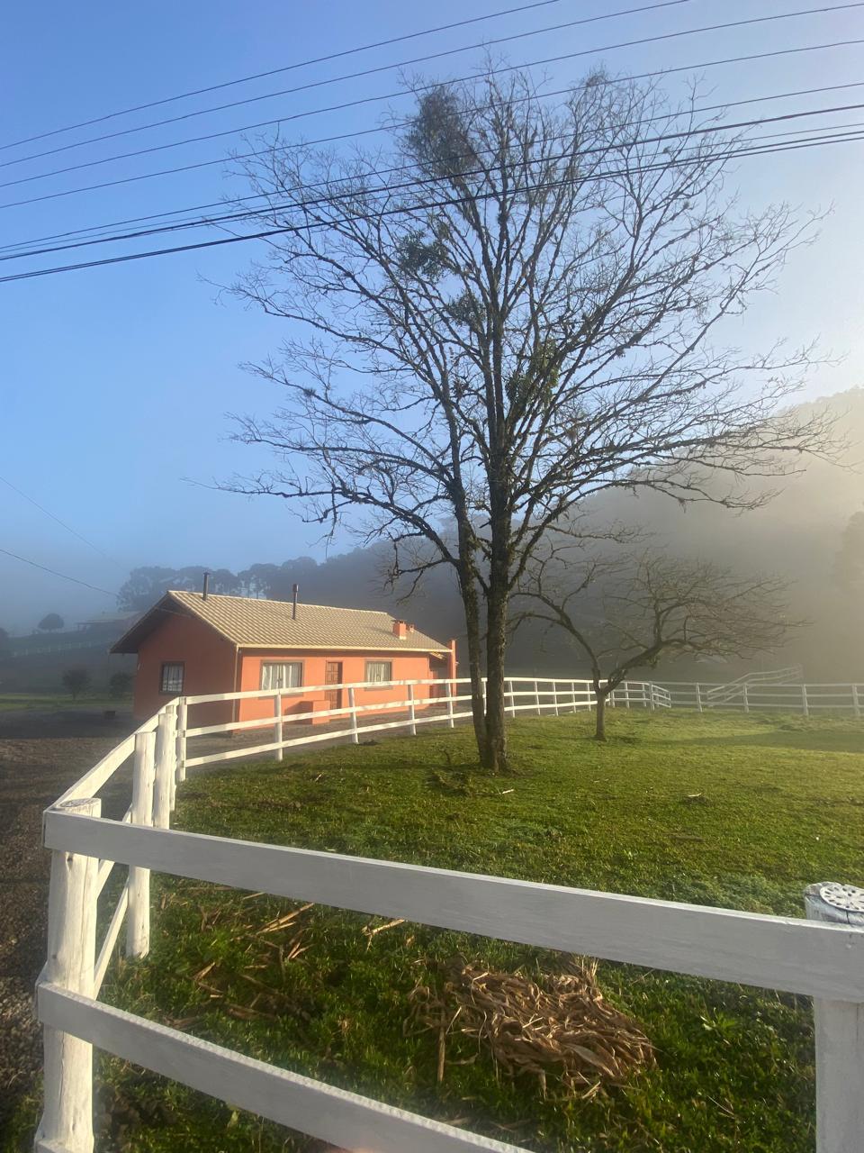 A charming house is surrounded by lush greenery and a white fence, with a large tree standing nearby. The scene is bathed in soft morning light, highlighting the fog that envelops the landscape in the background.