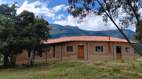 Gamarra Space: Casa Curva