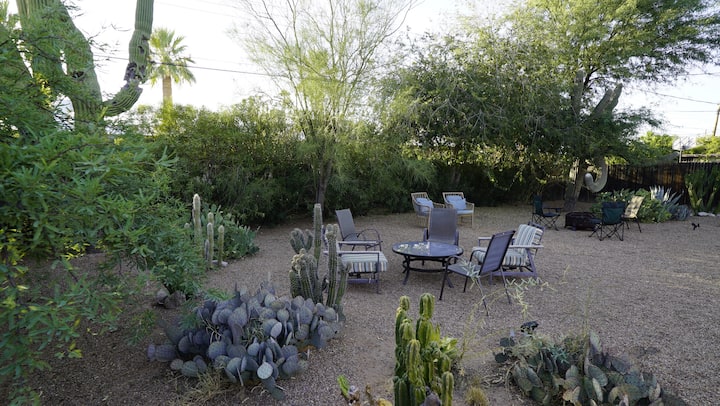 Private Desert Oasis-large Yard - 圖森