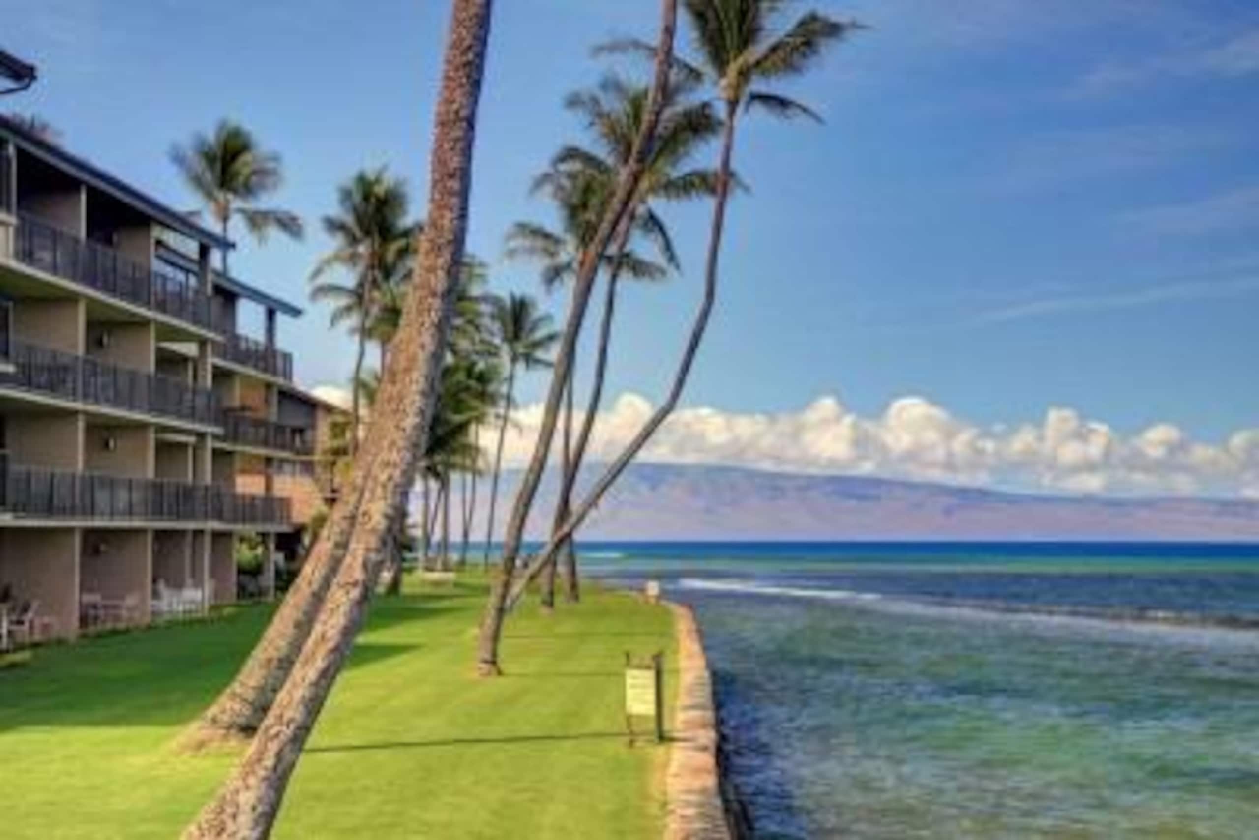 Condo in Lahaina · ★4.8 · Studio · 2 beds · 1 private bath - Image 20