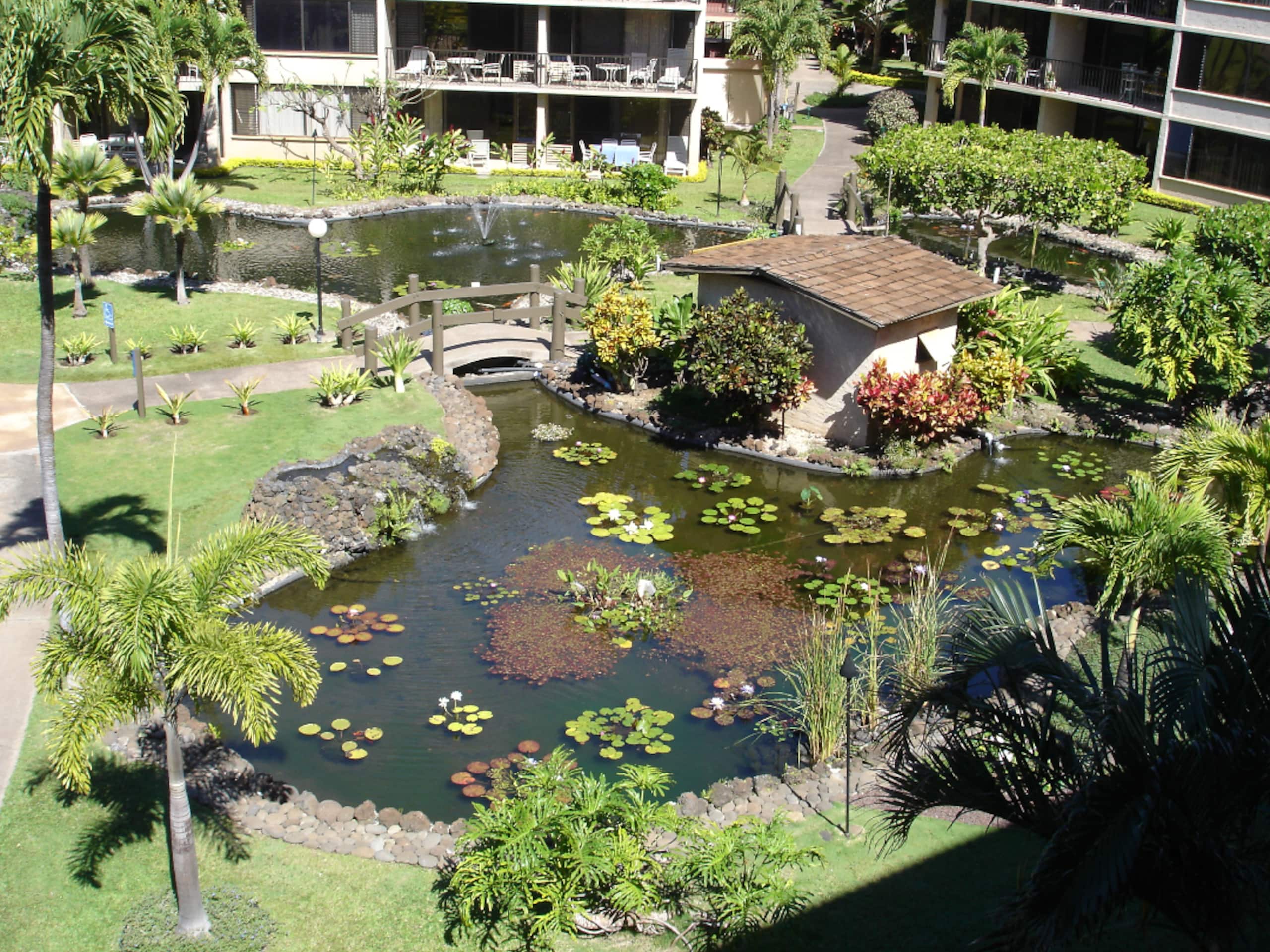 Condo in Lahaina · ★4.8 · Studio · 2 beds · 1 private bath - Image 18