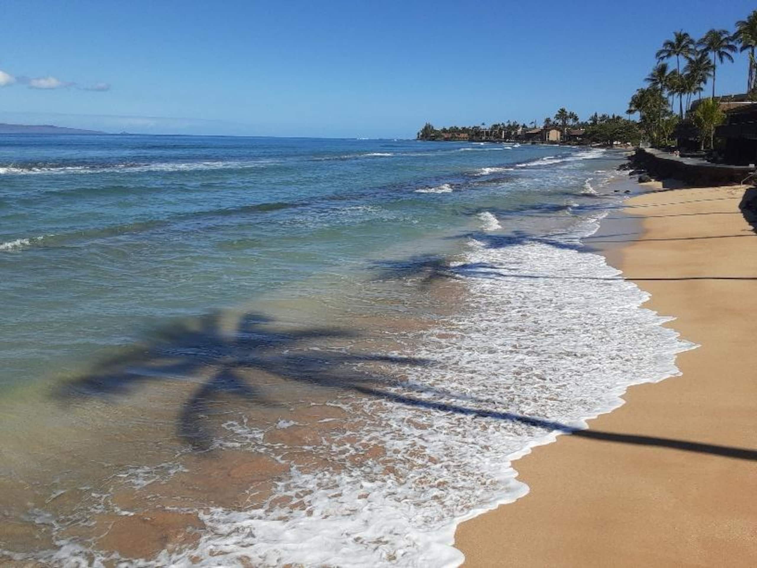 Condo in Lahaina · ★4.8 · Studio · 2 beds · 1 private bath - Image 26