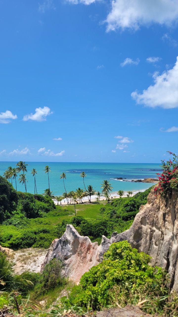A panoramic view of the coastline is presented, with vibrant turquoise waters meeting a sandy beach lined with tall palm trees. Lush greenery frames the foreground, while the sky is bright blue, accentuated by a few fluffy white clouds.