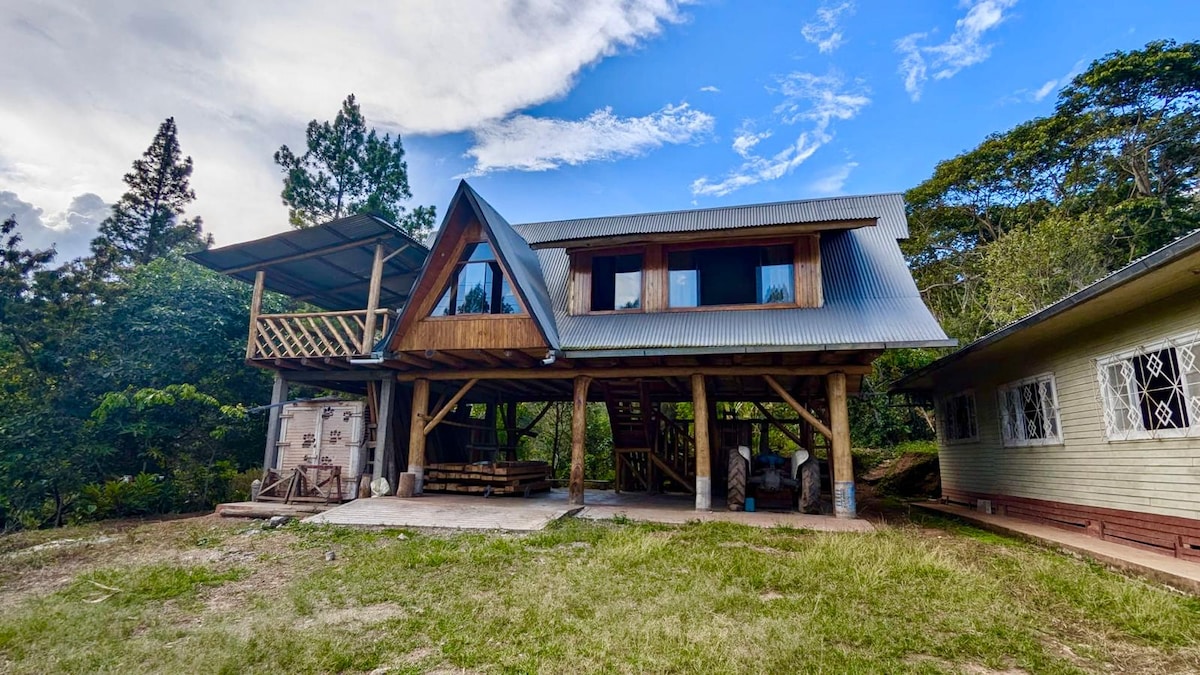 A two-story wooden house features a sloped roof and large windows, allowing natural light to fill the living spaces. A spacious deck extends from the upper level, overlooking a grassy area surrounded by trees. The ground level includes an open area with rustic seating.